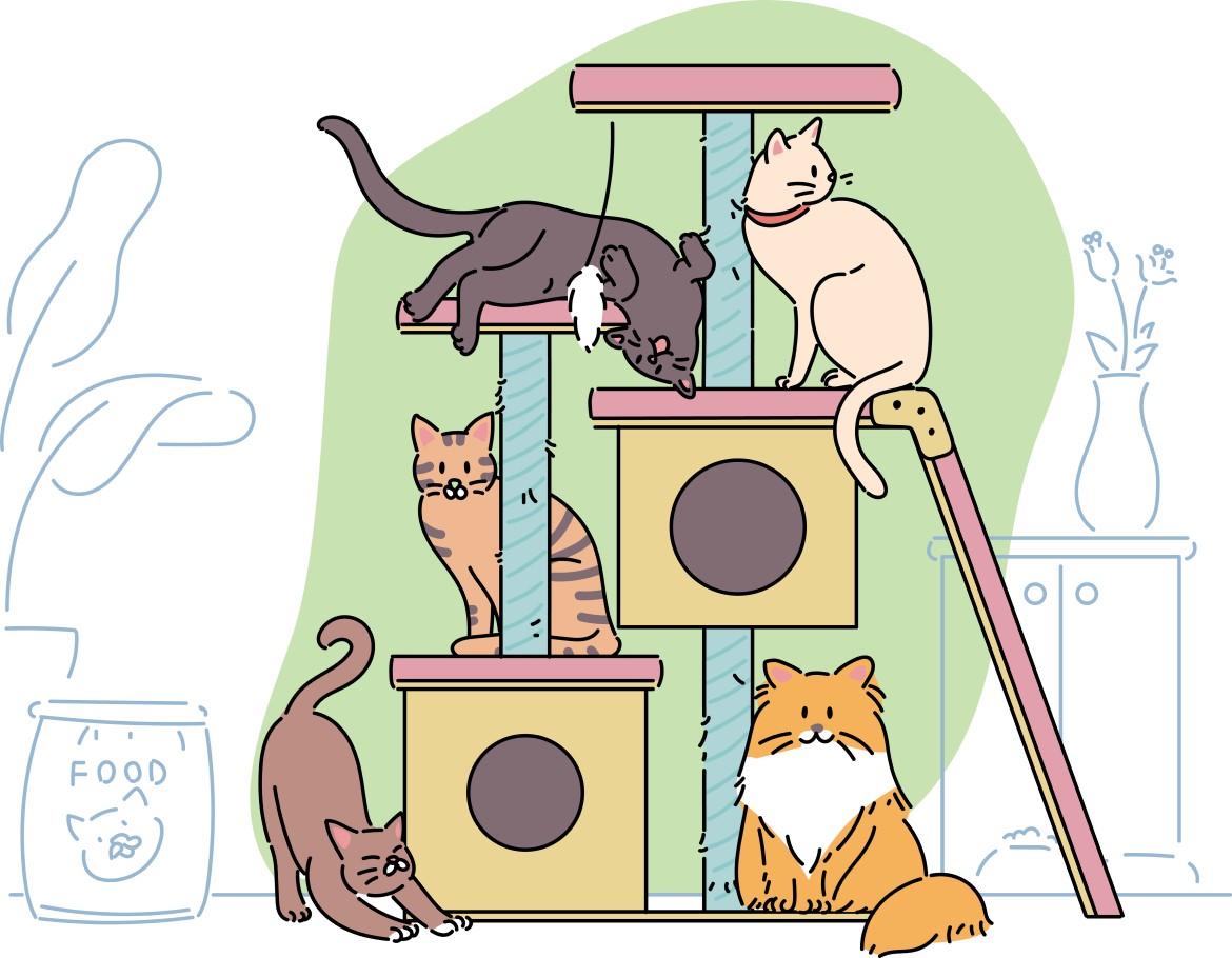 夢占い 夢の意味を確認 あなたの心理と未来からのサイン Charmmy