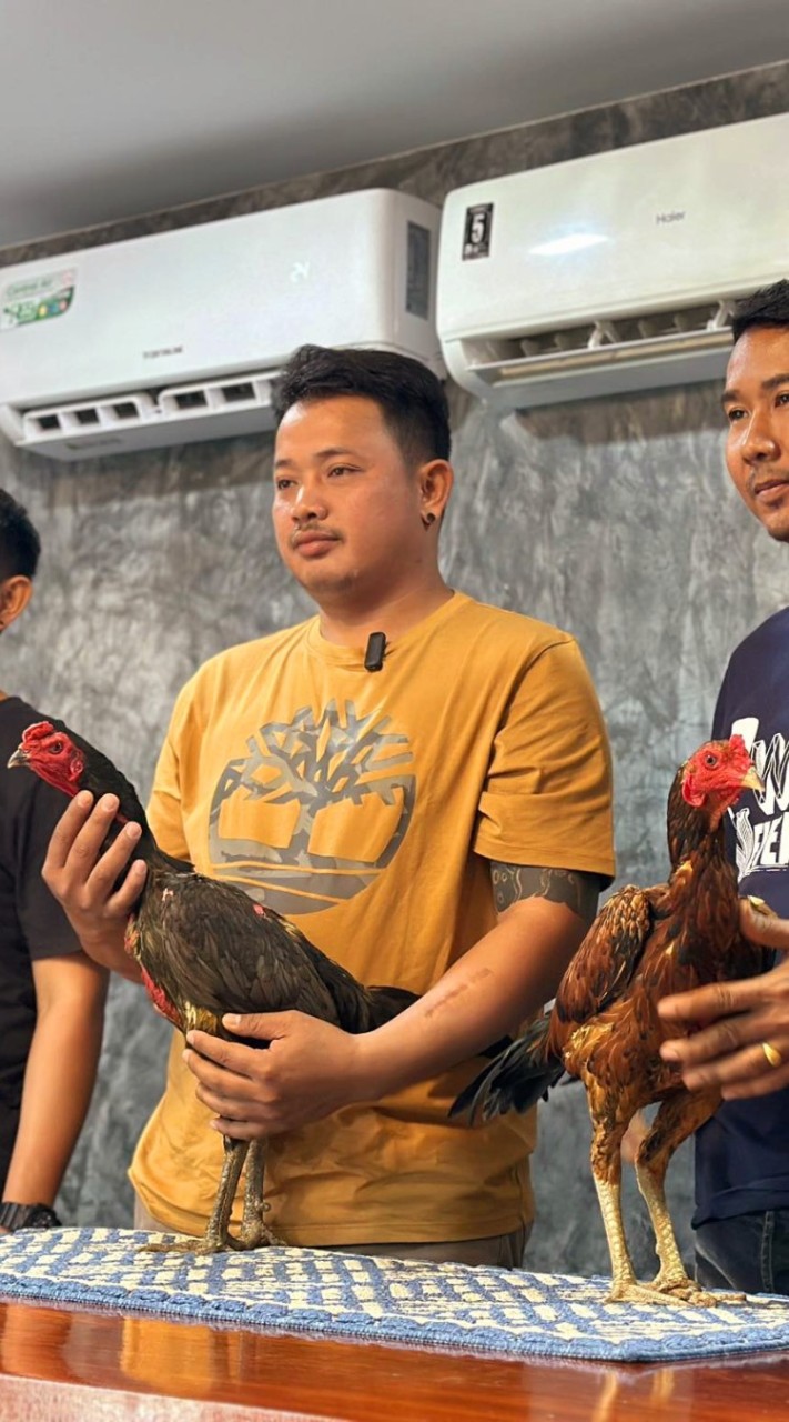 ซุ้ม.วังหิน ไก่ชนพม่า