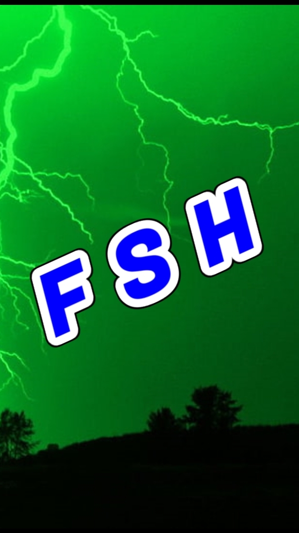 FSH Racing × ドリームチャレンジャーズ