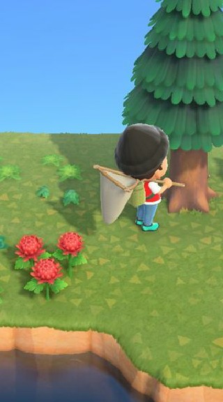 Animal Crossing  G.
