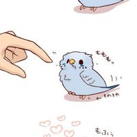各種動漫社群の連結群
