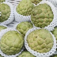 順鋒直播-新興仁智街自取點