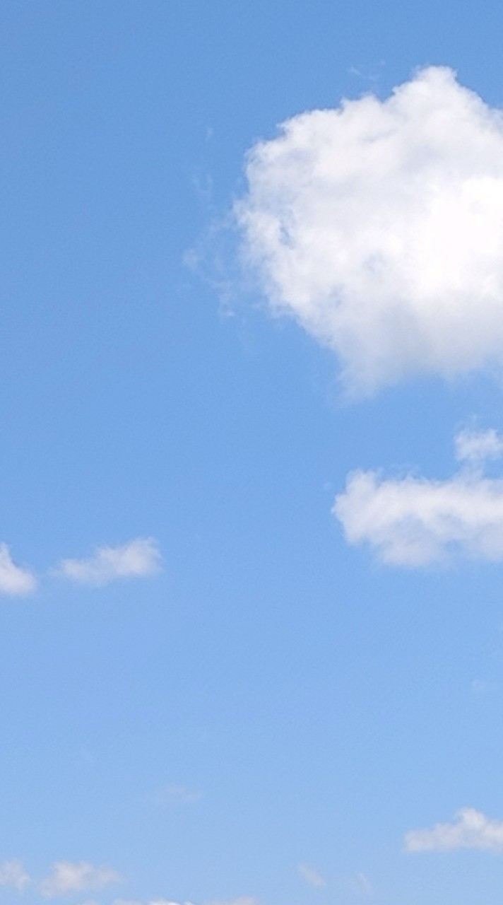 え ﾟ 全緩也ハント ⁉️⁉️