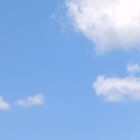 え ﾟ 全緩也ハント ⁉️⁉️
