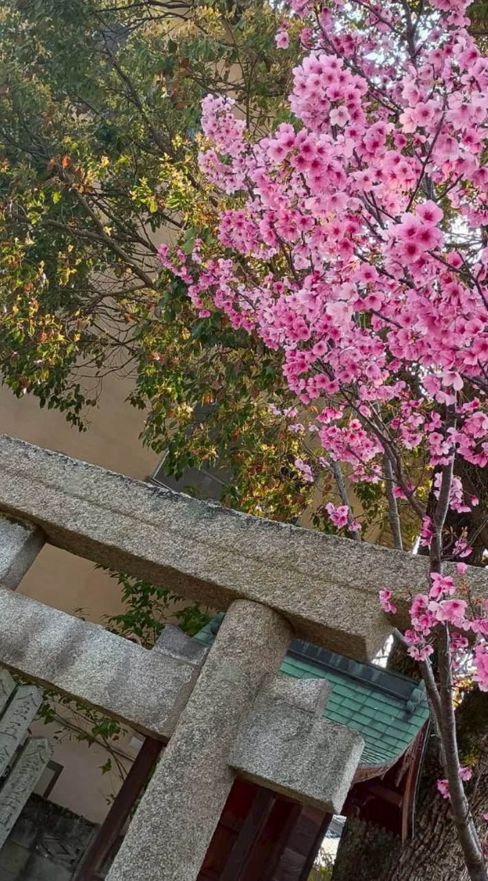 推しのことなど色んな話しよー( ⑅˃̵o˂̵⑅ )