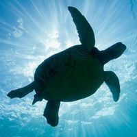 🍭40代50代🦜❤️🐳大人の恋バナ✨