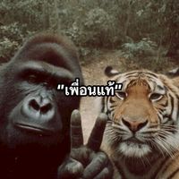 พื้นทีสีเท่า(คนจริงต้องชัดเจน)