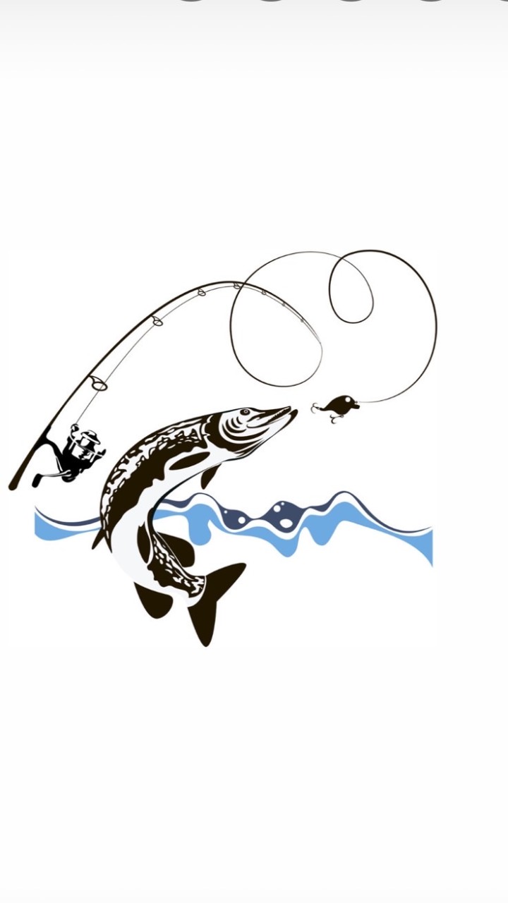 岸拋🎣白帶魂🐟交流區