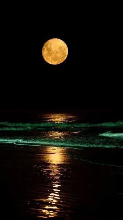 暗黑🔆暮光之城