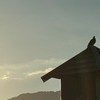 ！20250921探索臼井靈氣的奧秘