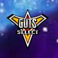 GUTS-Select🕊💗