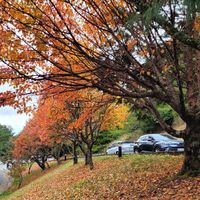 中部-健行去『落單女子約起來』