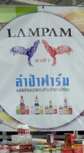 NPอาหารเสริมไก่ชน