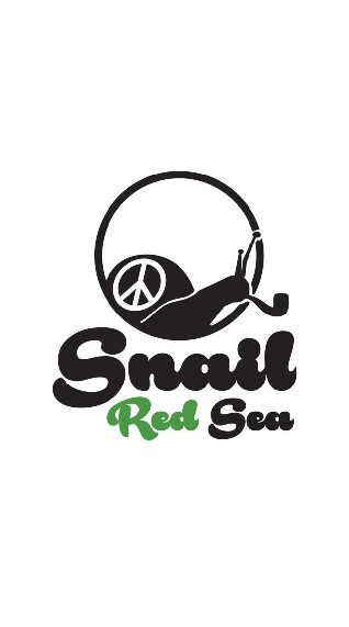 Snail red sea