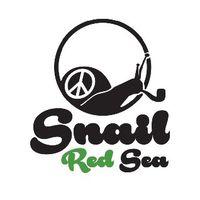 Snail red sea