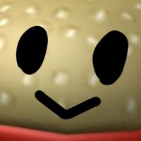 the Roblox community