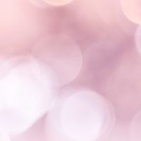 魔法使いの秘密基地