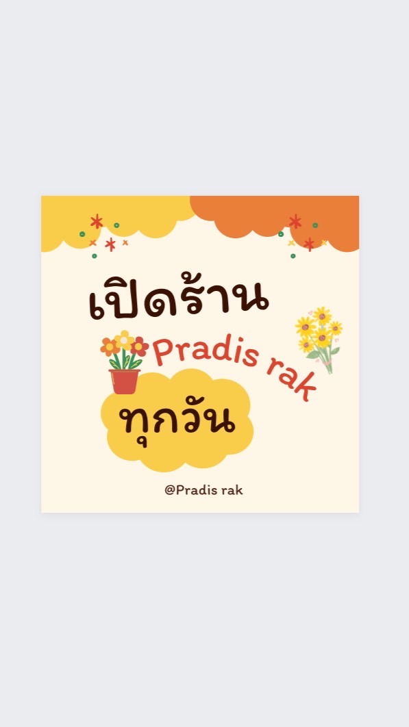 Pradis rak 🌷