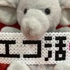 ずっと寝てたい主婦