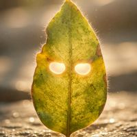 中年同志獨居聊天室