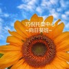 0.巧倪：向日葵.陳月雲老師