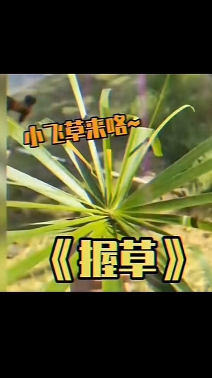 沃草股份有限公司
