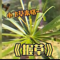 沃草股份有限公司