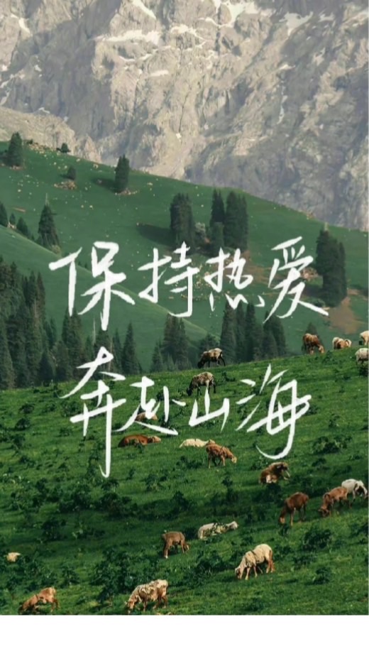 smhs學習歷程線上資訊