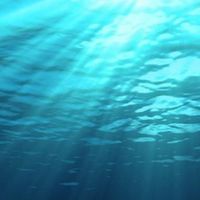 海裡的希帕索斯 討論區