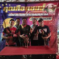 ชุ้ม กระทิงดุทีม หนองบัวลภู