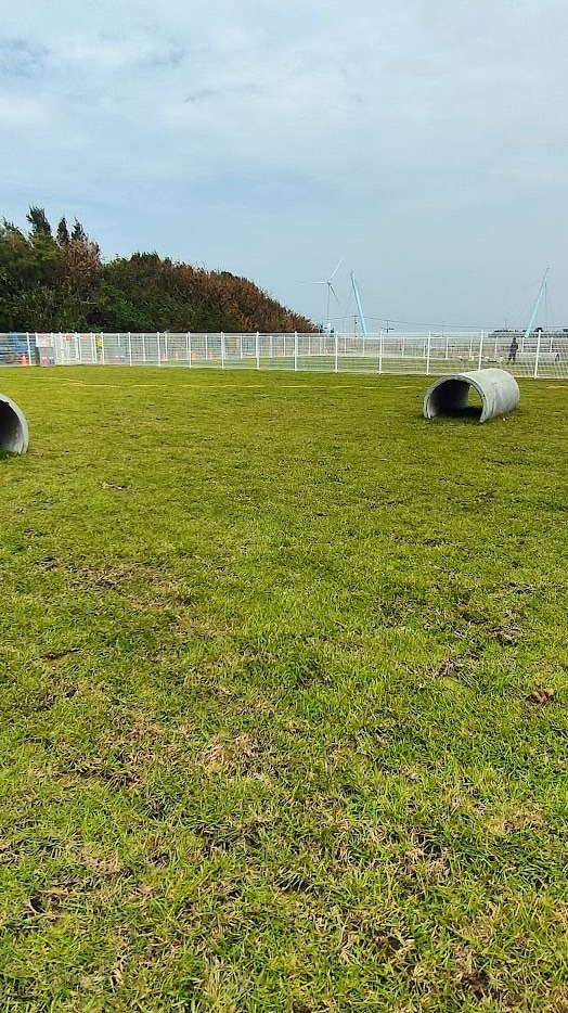 清水寵物運動公園（公69