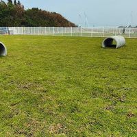 清水寵物運動公園（公69