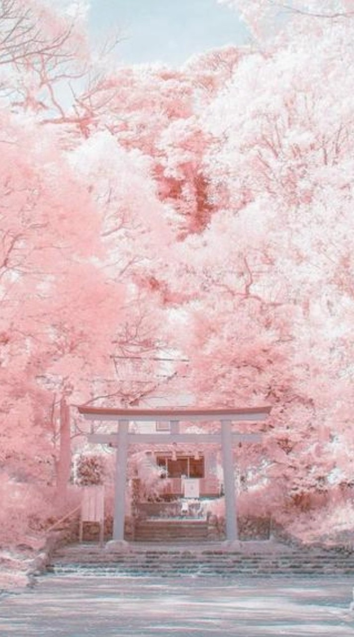 色んなハントだらけ⁉️🌈🕒️緩也‼️‼️