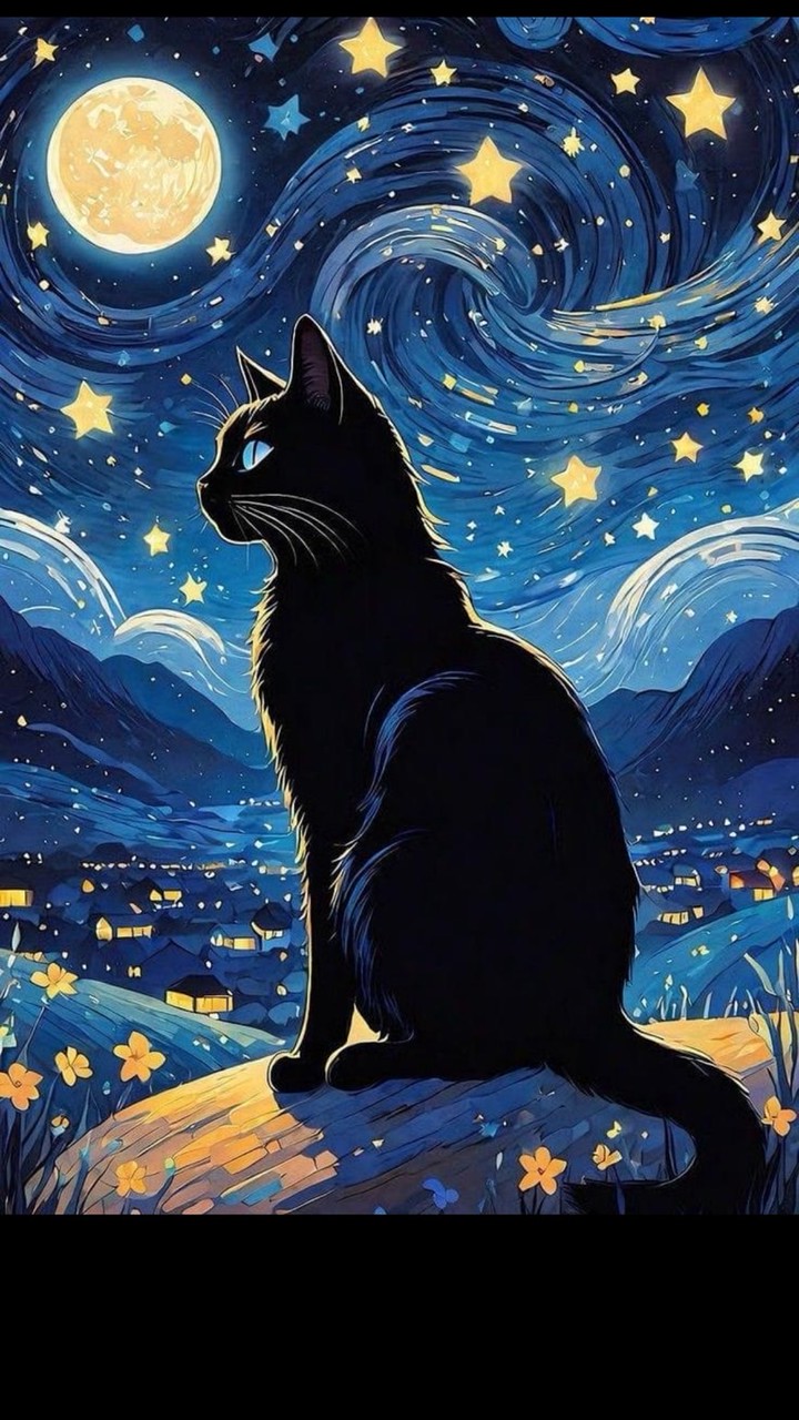 ⭐️奇遇，琪癒🔎