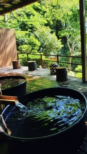 サボテン＆紅蓮合同チャット