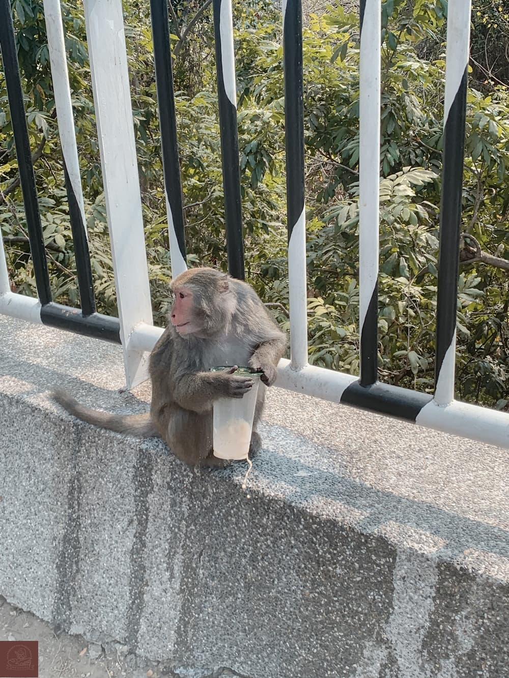 壽山動物園