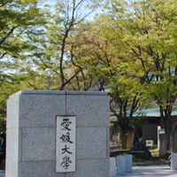 🌸愛媛大学　2026新入生　工学部🌸