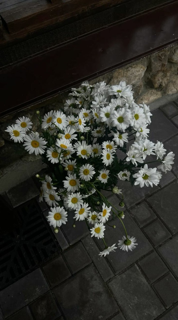 อันเลิ้ปผู้เป็นนักสู้