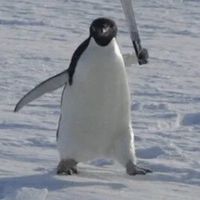 伯壹招待所