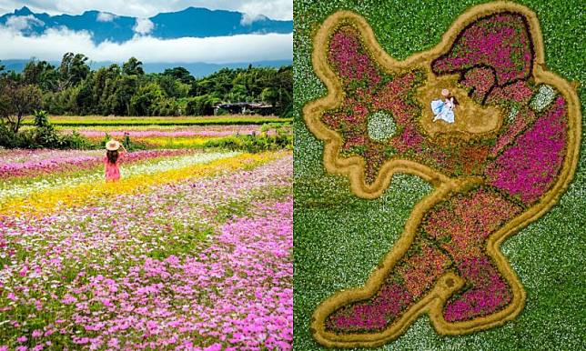 ▲圖片來源：IG@x.x.x_diddy、IG@molly888666