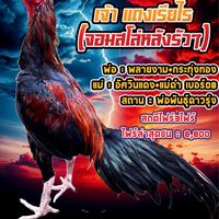 มังกรบูรพา🐉