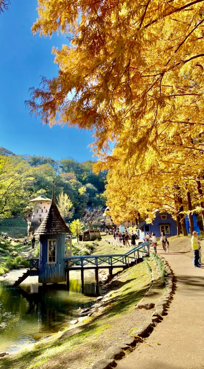 埼玉県のドライブ好きな人、美味しい物好きな人集まってください。