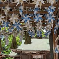 埼玉県のドライブ好きな人、美味しい物好きな人集まってください。
