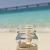 埼玉県のドライブ好きな人、美味しい物好きな人集まってください。