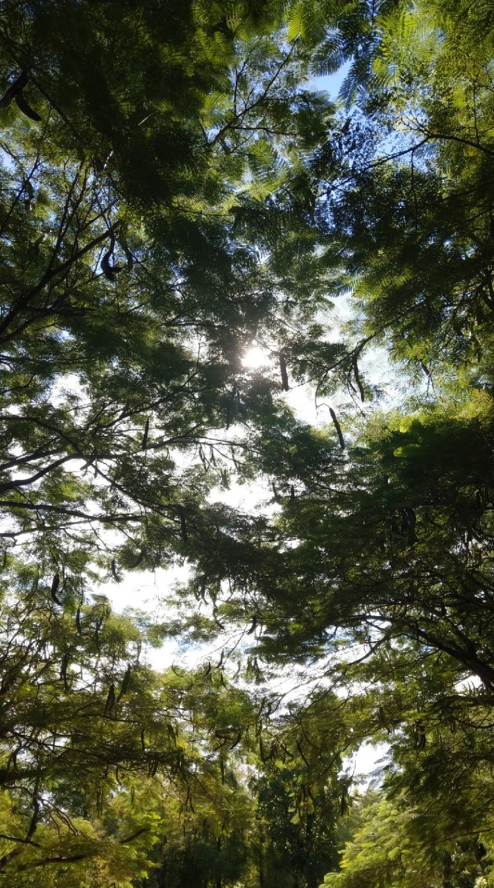 每個人都有各自找到幸福的方式💯