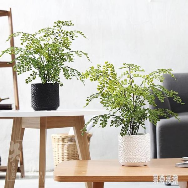 北歐創意家居飾品仿真綠植擺件 室內辦公裝飾花多肉植物盆景盆栽