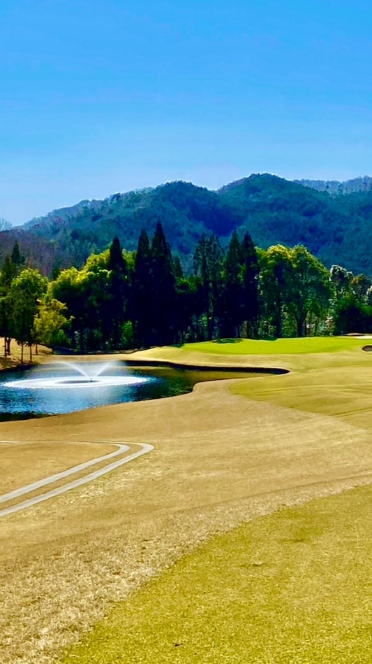 愛媛県ゴルファーの会⛳️