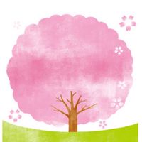 【埼玉】お花見＆開花情報🌸写真＆スポット/ 桜 さくら 梅 ウメ 春
