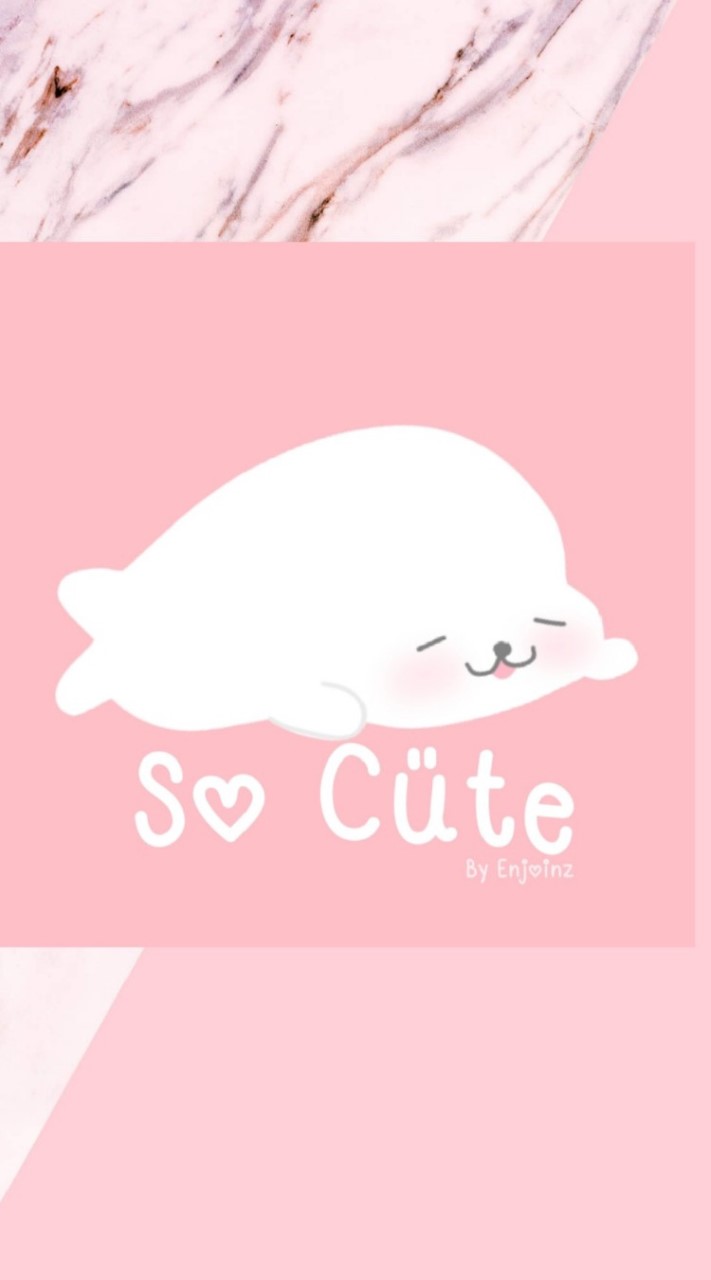 🐰ร้าน So Cute 'By Enjoinn
