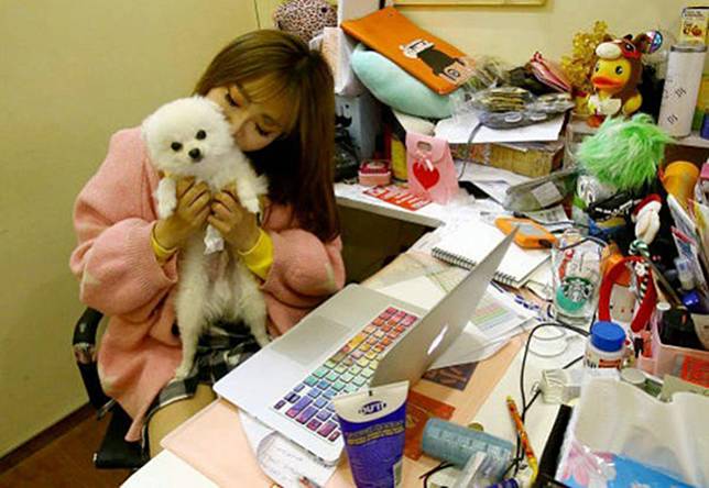 5 Perusahaan Ini Membolehkan Karyawan Bawa Hewan Peliharaan